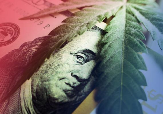 How to Protect Your Interests in Cannabis Business Partnerships